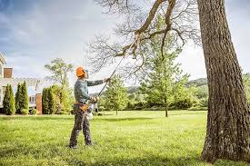 Best Lawn Watering Services  in Stuarts Draft, VA