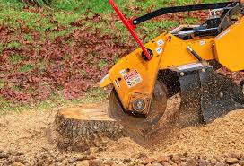 Lawn Maintenance Plans in Stuarts Draft, VA